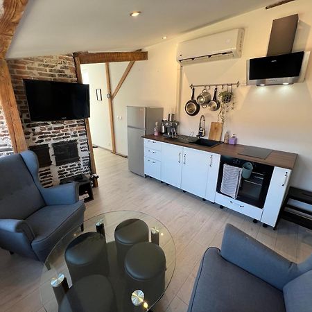 Bellevue Appartement Sous Les Toits Hypercentre Climatise Dole Zewnętrze zdjęcie