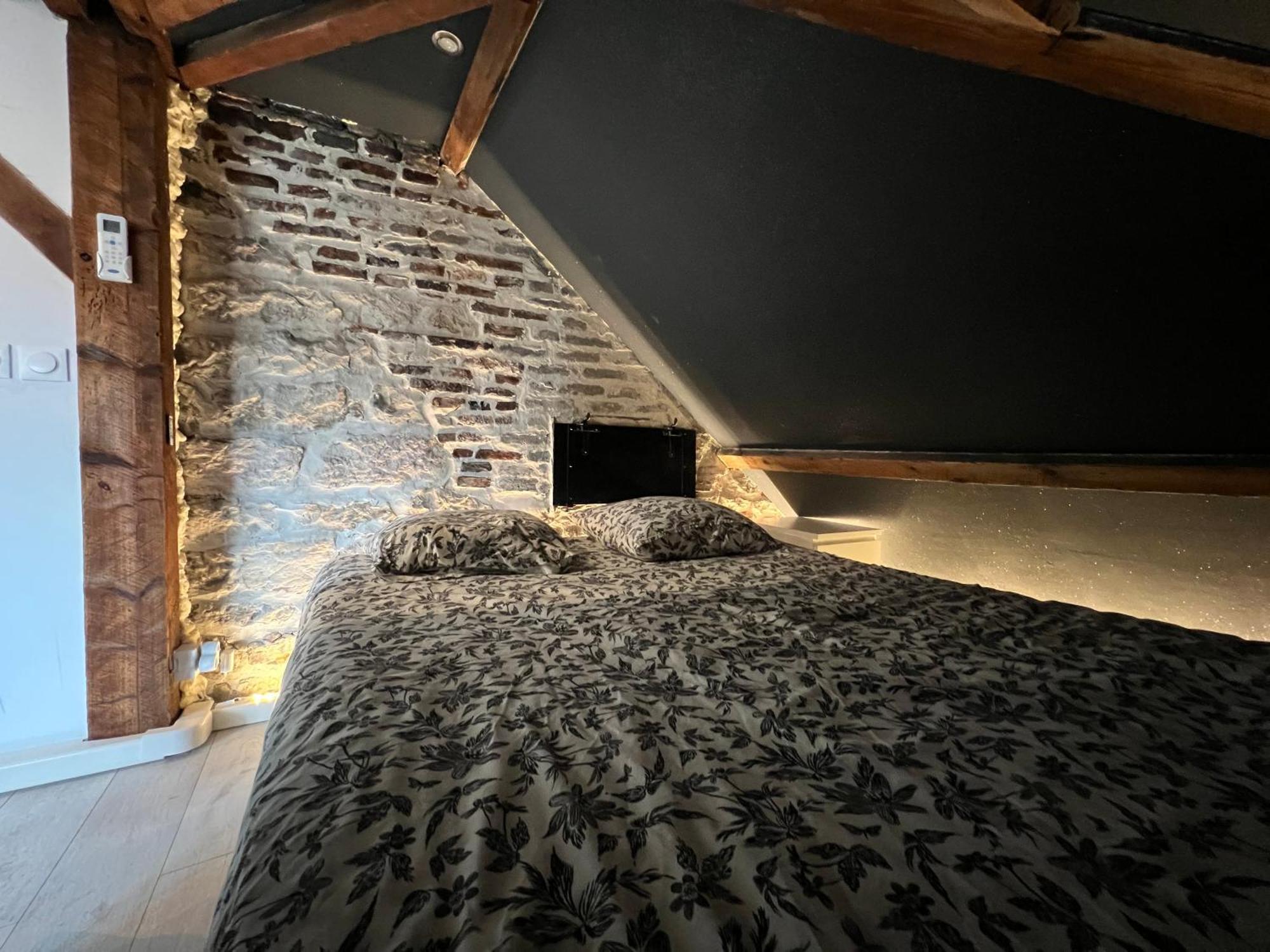 Bellevue Appartement Sous Les Toits Hypercentre Climatise Dole Zewnętrze zdjęcie